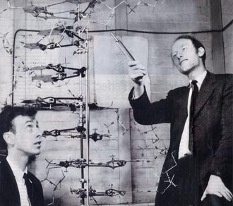 picture of James Watson and Francis Crick